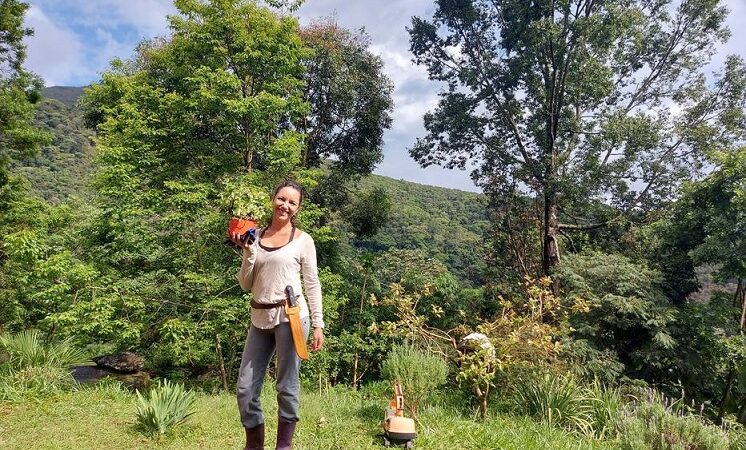 Pessoas trocam cidade para empreender no campo na pandemia