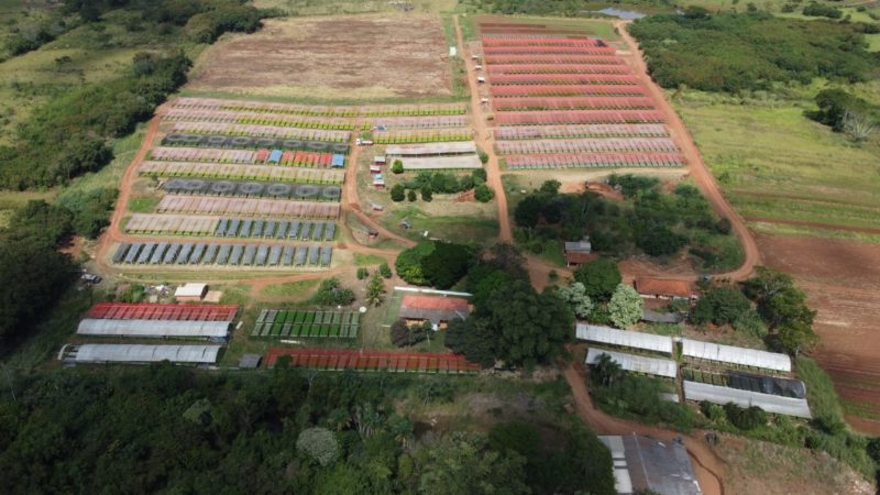 Agricultura familiar é responsável por 77% dos estabelecimentos rurais do Brasil￼