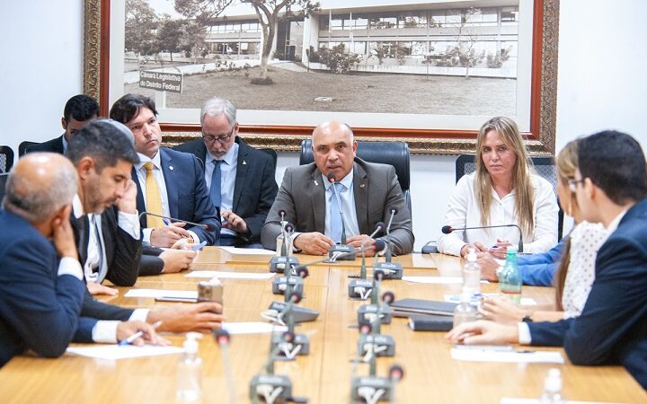 Celina Leão se reúne com deputados distritais na CLDF