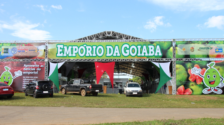 Produtores se preparam para a Feira da Goiaba em Brazlândia