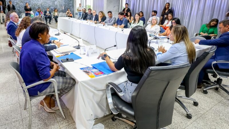 Comitê de combate ao feminicídio no DF define primeiras ações