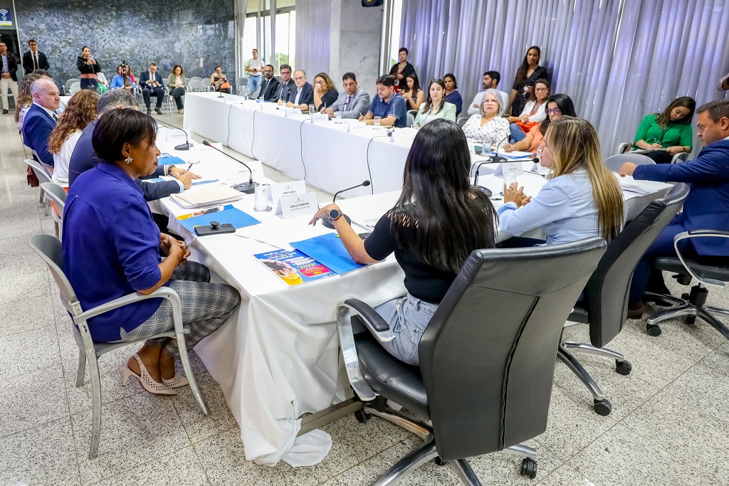 Comitê de combate ao feminicídio no DF define primeiras ações