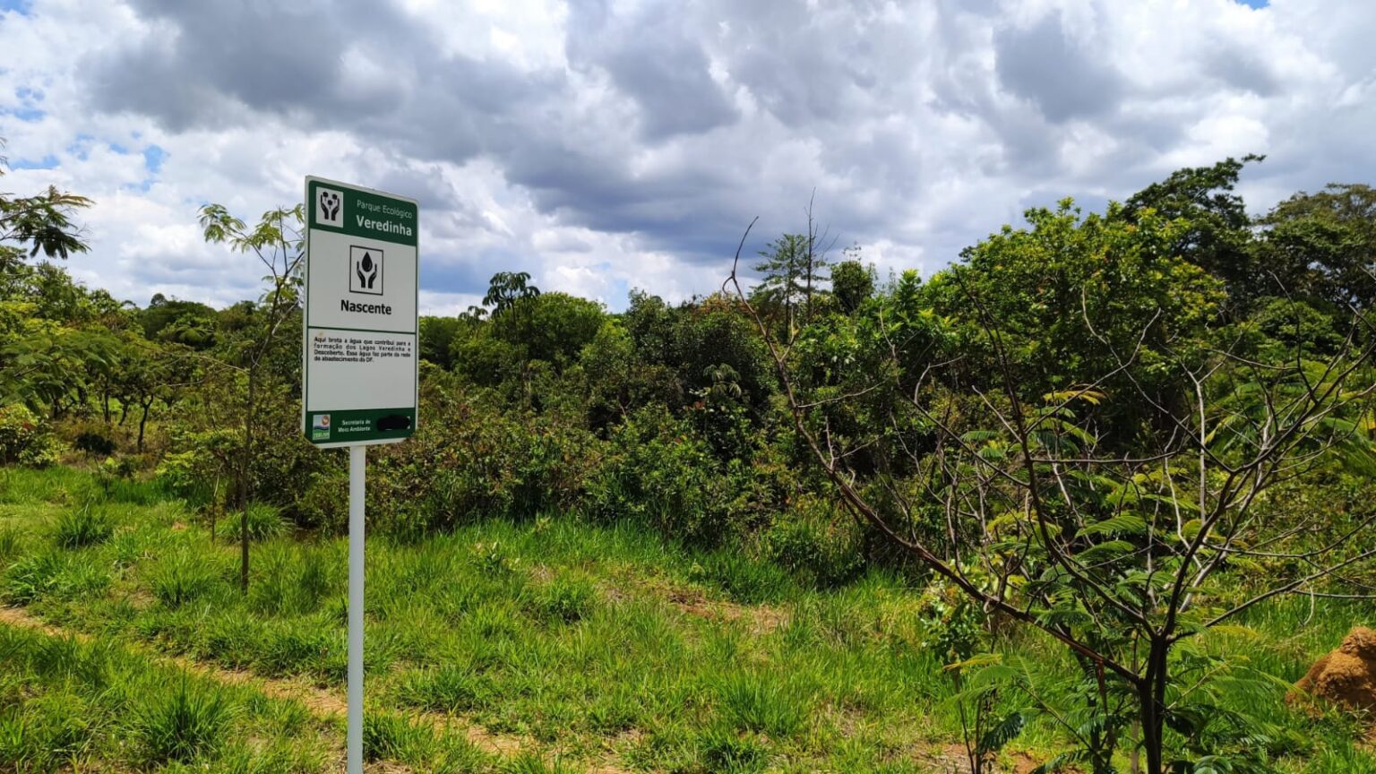 Inscrições abertas para voluntários que queiram atuar no Parque Veredinha