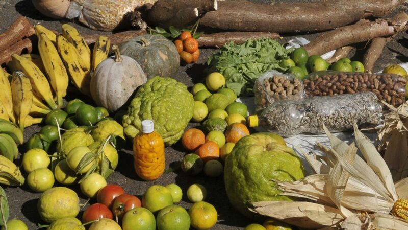 Moradores do campo também são afetados pela fome no Brasil