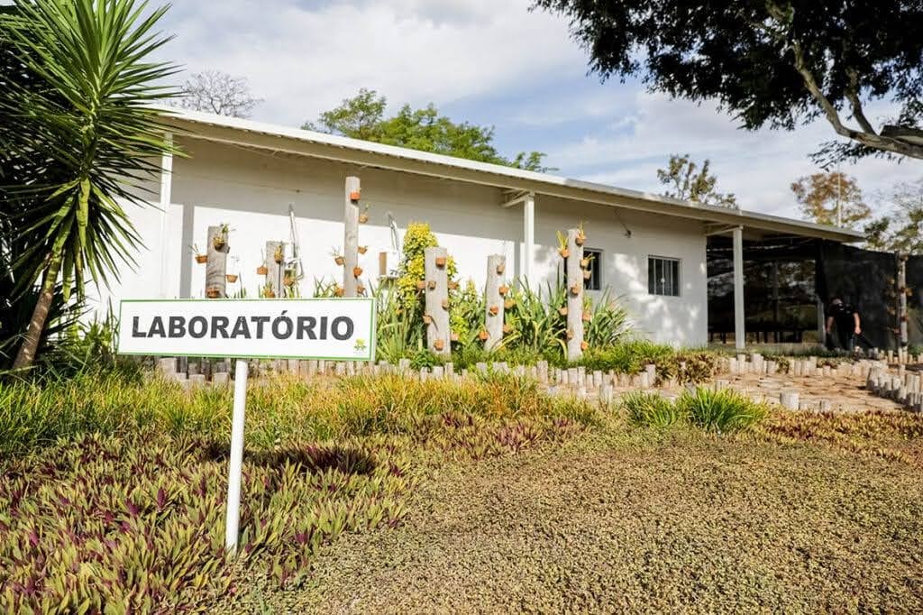 Meio Ambiente: Laboratório do GDF reproduz espécies do Cerrado ameaçadas de extinção