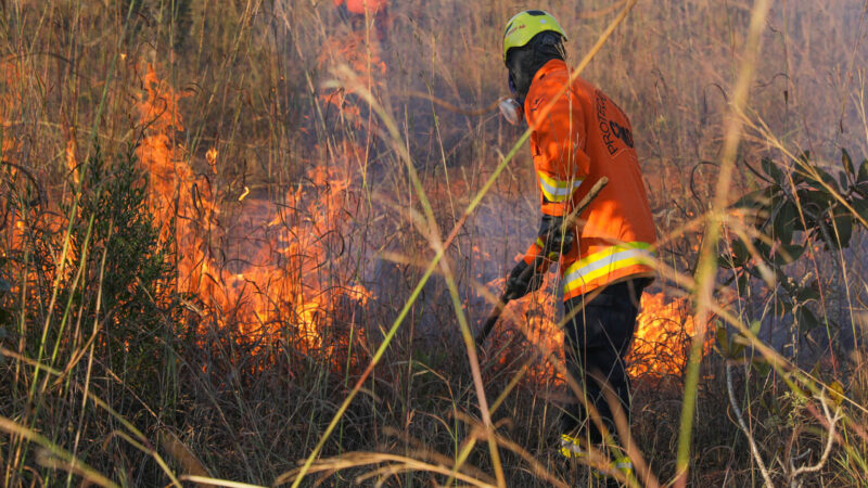 Bombeiros do DF têm capacitação contínua para combater incêndios florestais