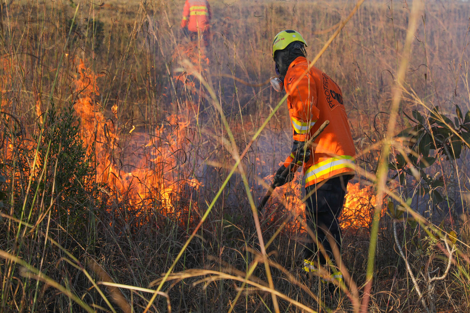 Bombeiros do DF têm capacitação contínua para combater incêndios florestais