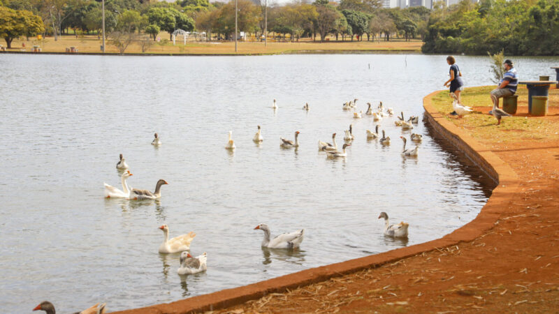 Lago do Parque da Cidade receberá operação de limpeza