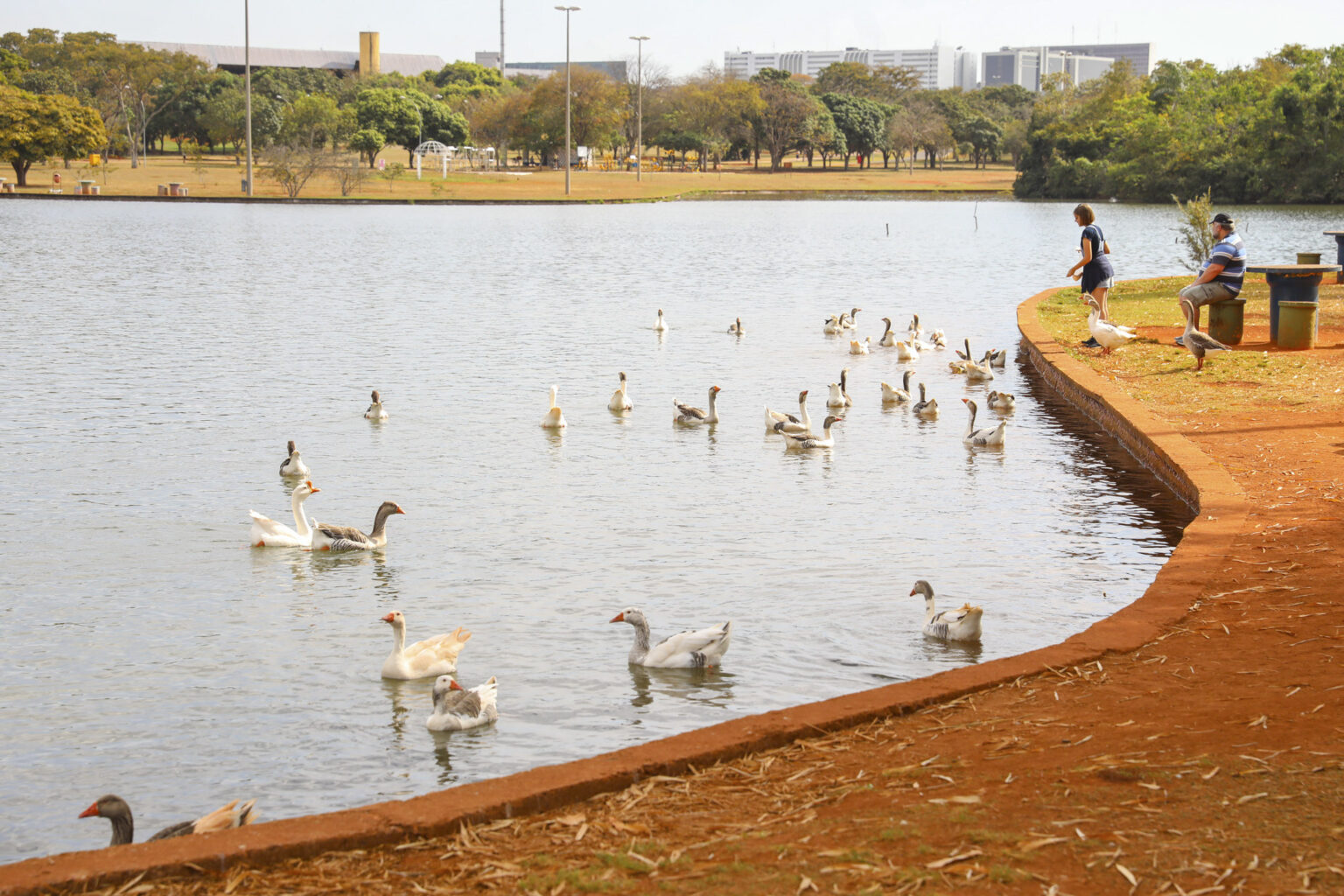 Lago do Parque da Cidade receberá operação de limpeza