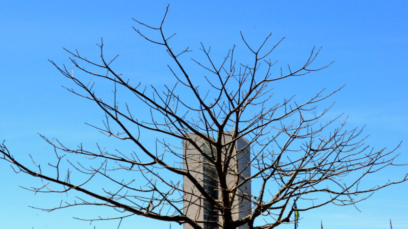 Que calorão! Veja dicas para enfrentar a baixa umidade no DF