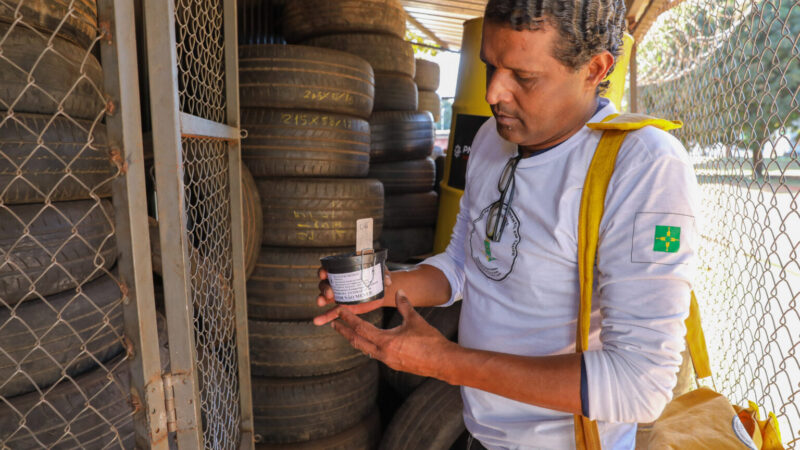 Casos de dengue seguem em queda no Distrito Federal