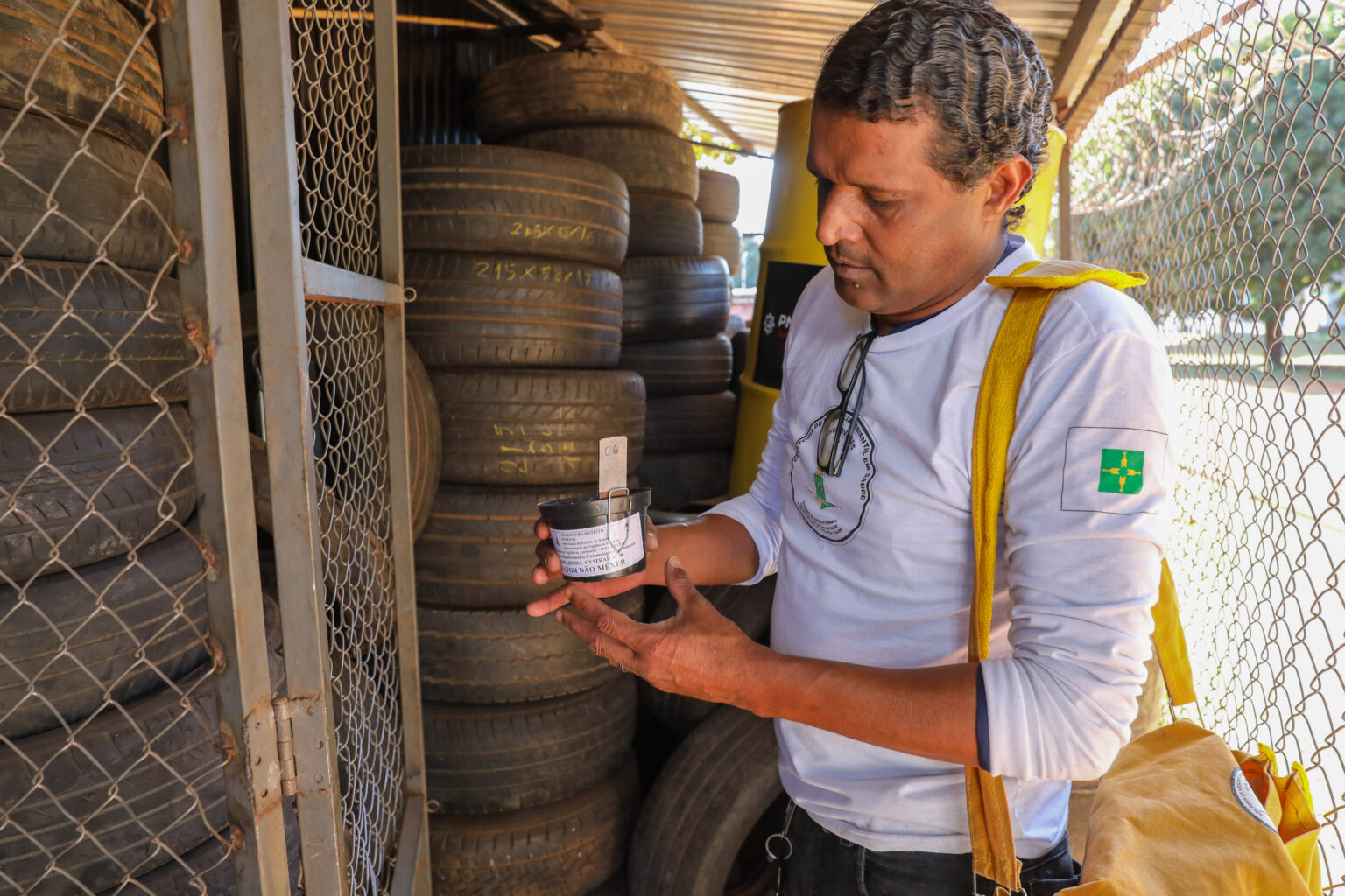 Casos de dengue seguem em queda no Distrito Federal