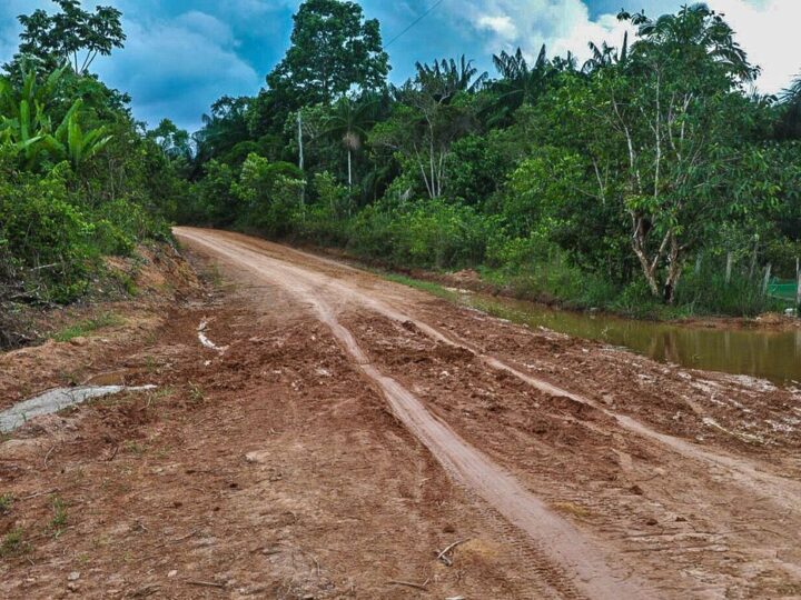 Maior parte da Mata Atlântica tem menos de 30% de vegetação nativa