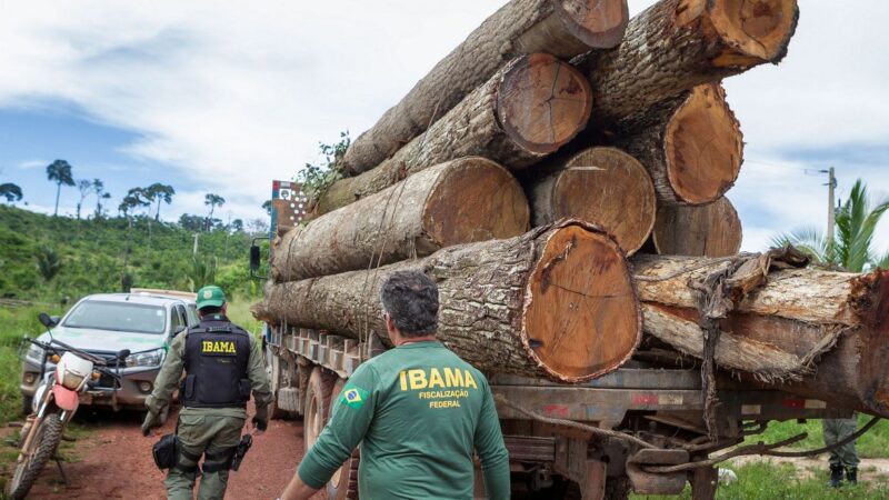 Governo autoriza contratação de 257 servidores para o Ibama