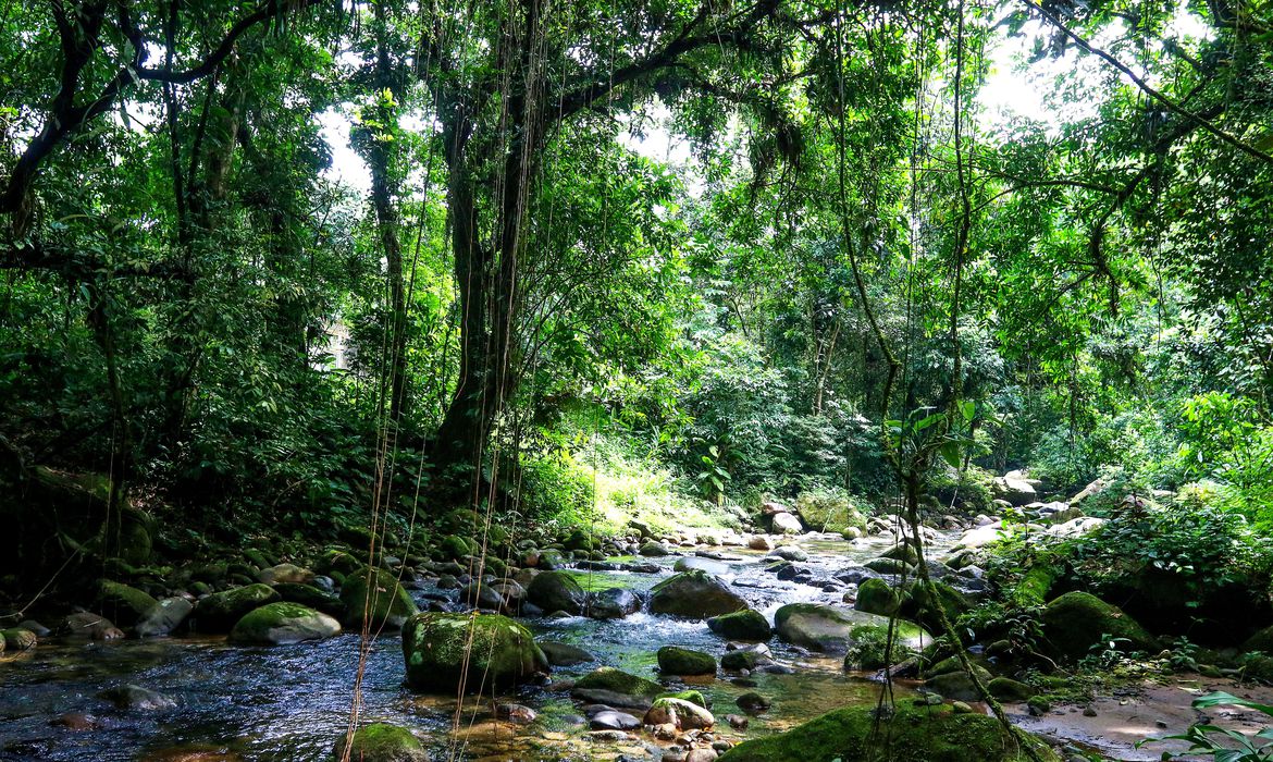 SOS Mata Atlântica mapeia 1,5 mil unidades de conservação municipais