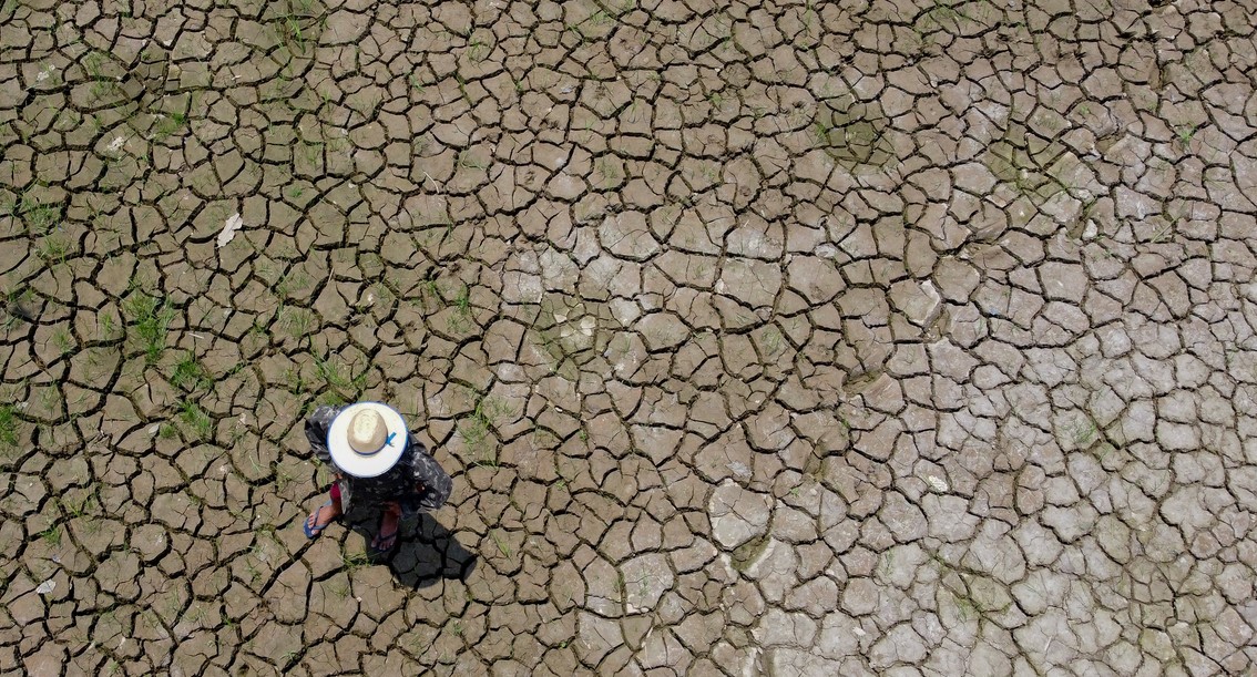 Seca já afeta todos os 62 municípios do Amazonas