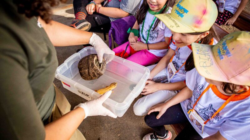 Zoológico abre inscrições para Colônia de Feras na segunda-feira (15)