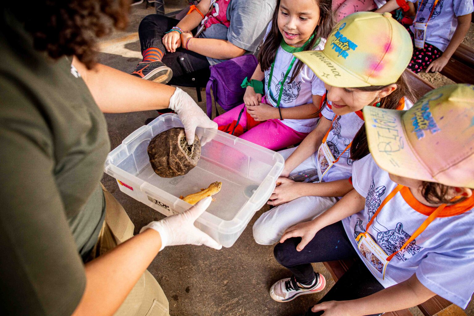 Zoológico abre inscrições para Colônia de Feras na segunda-feira (15)