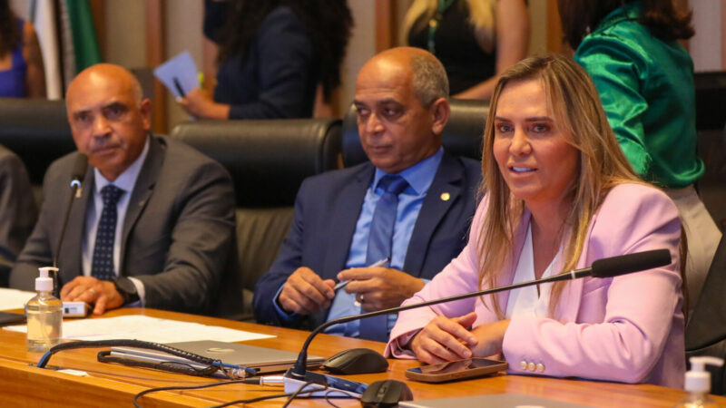 Celina Leão recebe o título de Cidadã Honorária do DF