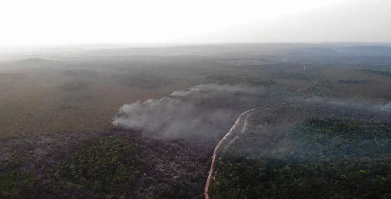 Área queimada no Brasil cresce 248% em relação a janeiro de 2023