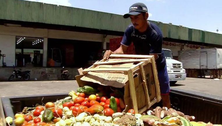 Pesquisa traz dicas sobre como reduzir desperdício de alimentos