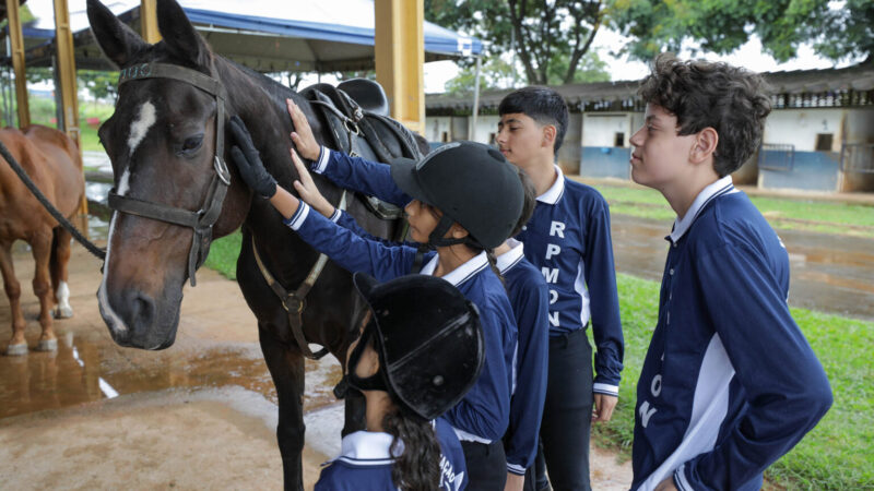 Projeto gratuito de equitação e equoterapia volta às aulas com 360 alunos