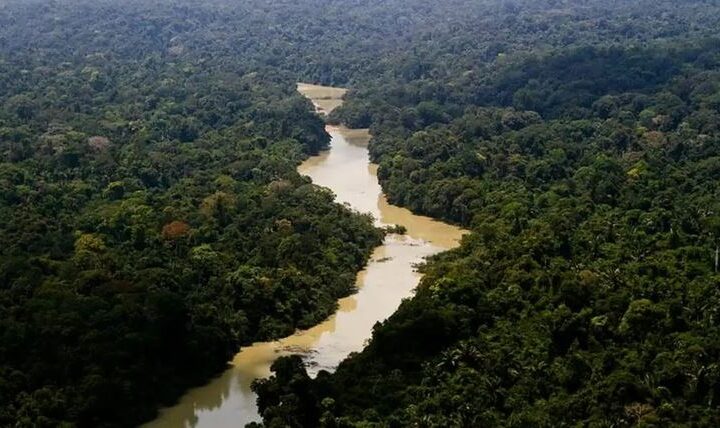 Pantanal: redução da área alagada tem favorecido aumento de incêndios