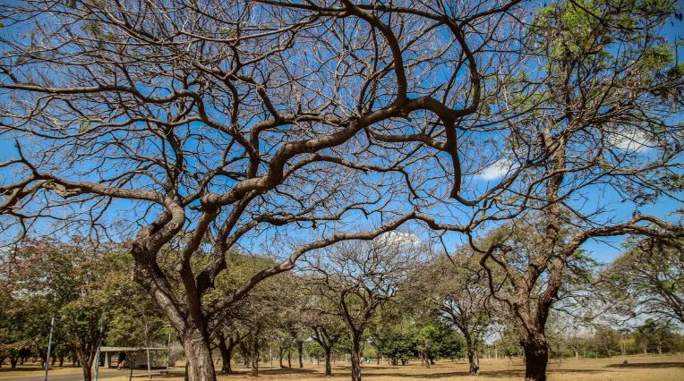 Inmet alerta sobre baixa umidade no Centro-Oeste e no Tocantins