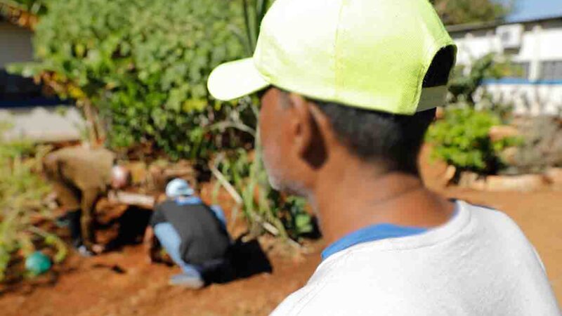 Horta do Creas de Ceilândia abre perspectivas para pessoas que buscam deixar as ruas