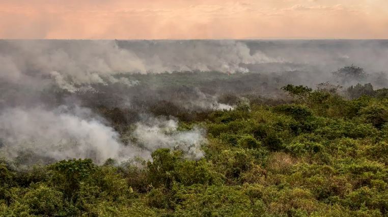 Pantanal poderá ter crise hídrica histórica em 2024, aponta estudo