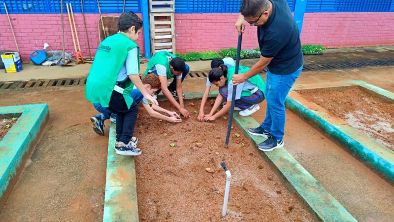 Colégio Cívico-Militar do Recanto das Emas une empreendedorismo e sustentabilidade