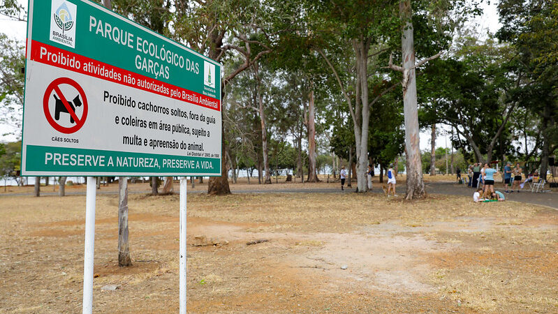 Infraestrutura e lazer: Oportunidades para Brasília com novo plano no Parque das Garças