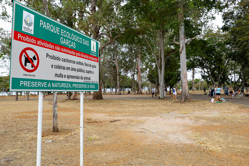 Infraestrutura e lazer: Oportunidades para Brasília com novo plano no Parque das Garças