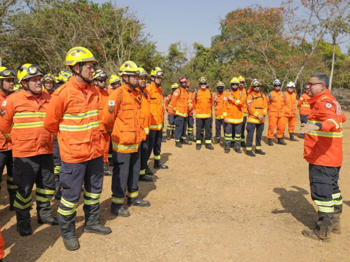 Após três dias, combatentes controlam incêndio no Parque Nacional de Brasília