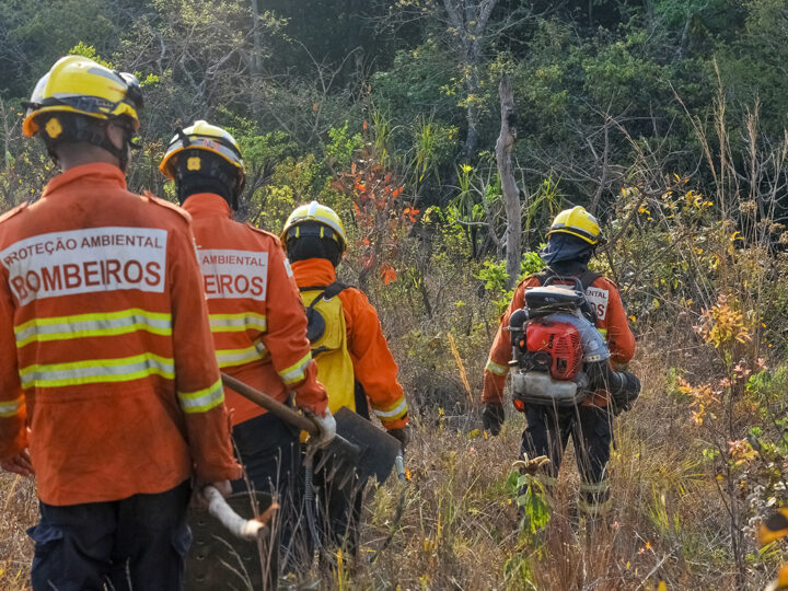 Em meio a seca histórica, bombeiros diversificam estratégias contra incêndios florestais