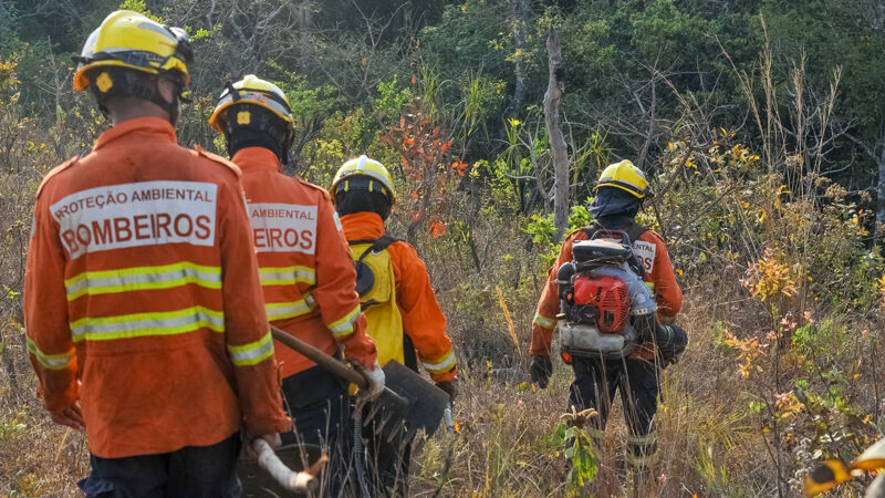 Em meio a seca histórica, bombeiros diversificam estratégias contra incêndios florestais