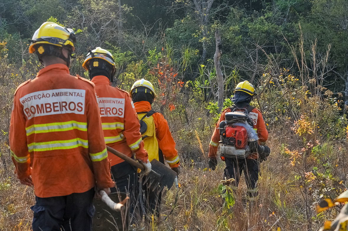 Em meio a seca histórica, bombeiros diversificam estratégias contra incêndios florestais