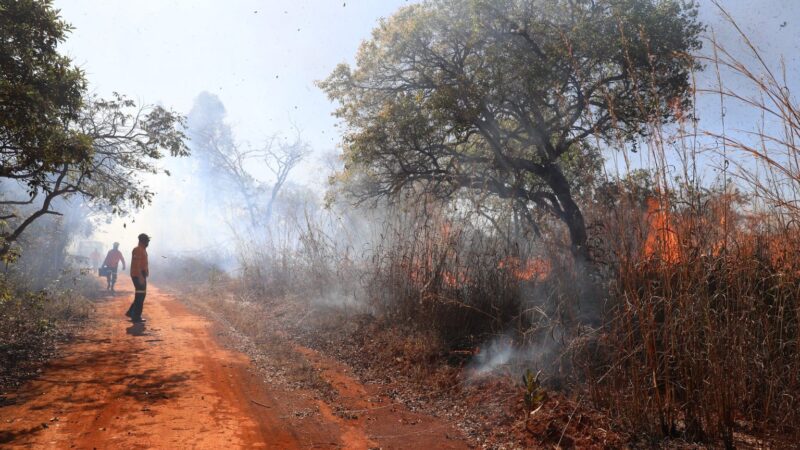 Saiba quais são os canais para denunciar incêndios florestais no DF