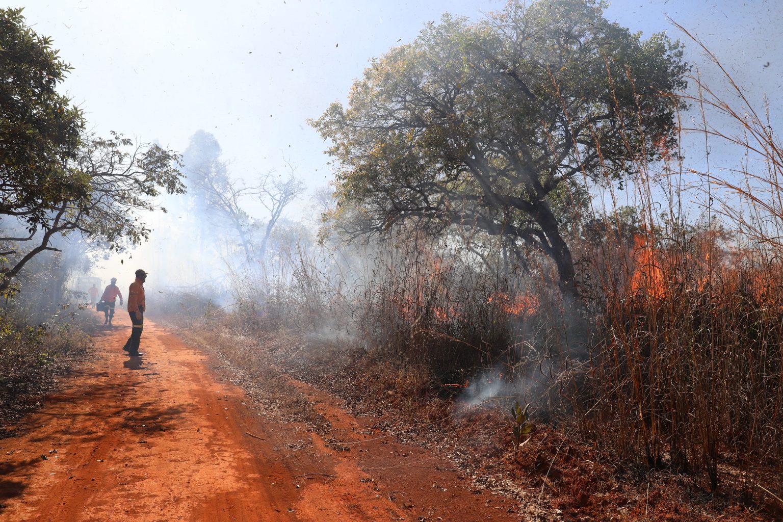 Saiba quais são os canais para denunciar incêndios florestais no DF