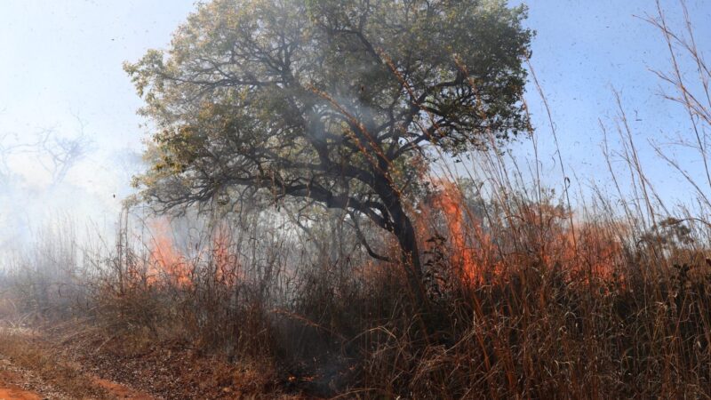 Brasil concentra 76% dos incêndios na América do Sul