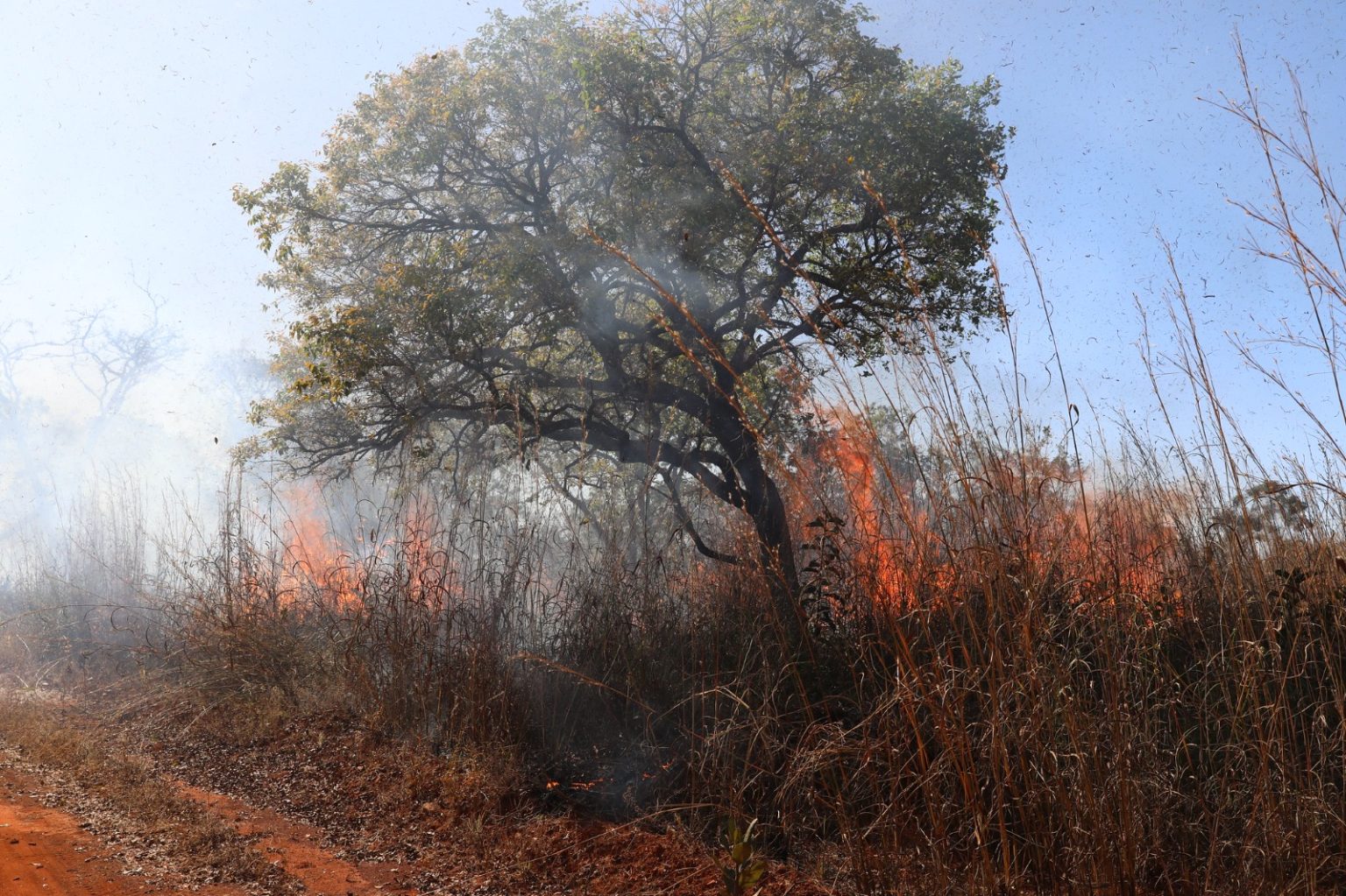 Brasil concentra 76% dos incêndios na América do Sul