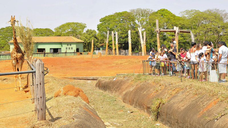 Férias escolares no Zoológico: Borboletário, Colônia de Feras e outras atrações garantem a diversão da criançada