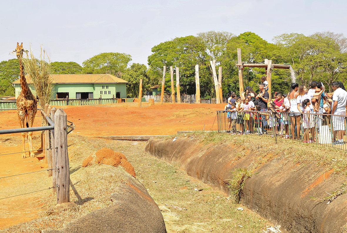 Férias escolares no Zoológico: Borboletário, Colônia de Feras e outras atrações garantem a diversão da criançada