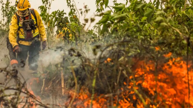 Brasil já registrou mais de 154 mil focos de calor este ano