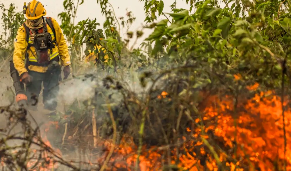 Brasil já registrou mais de 154 mil focos de calor este ano