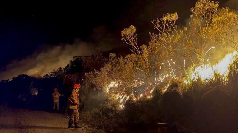 Incêndio de grandes proporções atinge Parque Nacional de Brasília