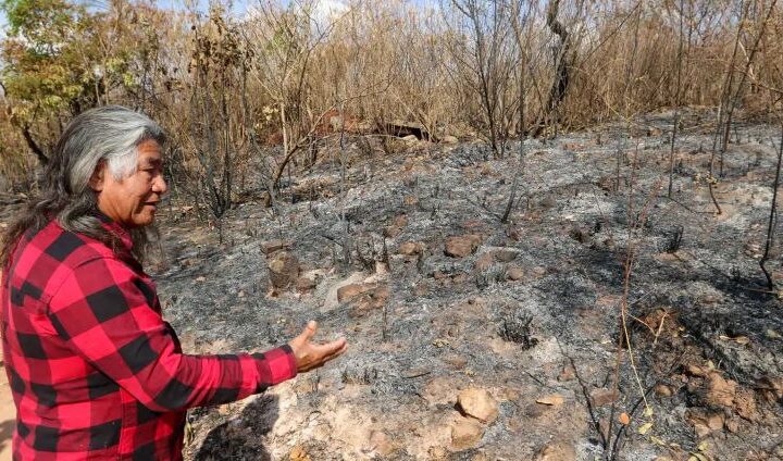 Indígenas sofrem com incêndio em área próxima a parque de Brasília