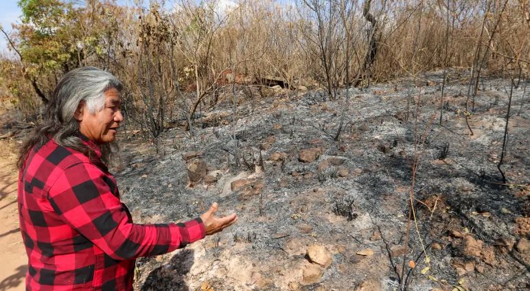 Indígenas sofrem com incêndio em área próxima a parque de Brasília