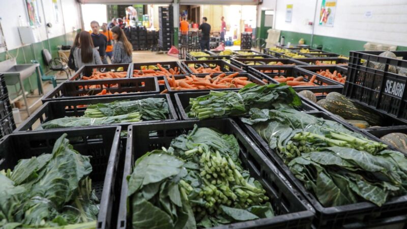 Lançada quarta chamada pública para aquisição de alimentos da agricultura familiar no DF