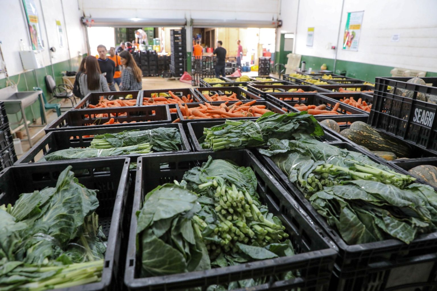 Lançada quarta chamada pública para aquisição de alimentos da agricultura familiar no DF